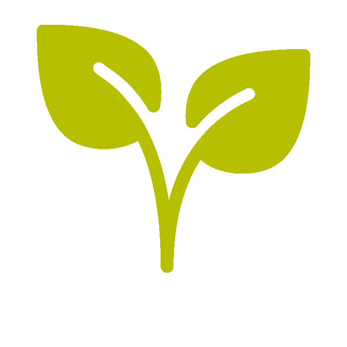 tratamiento natural sinusitis