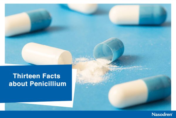 Broken white antibiotic capsule on blue background