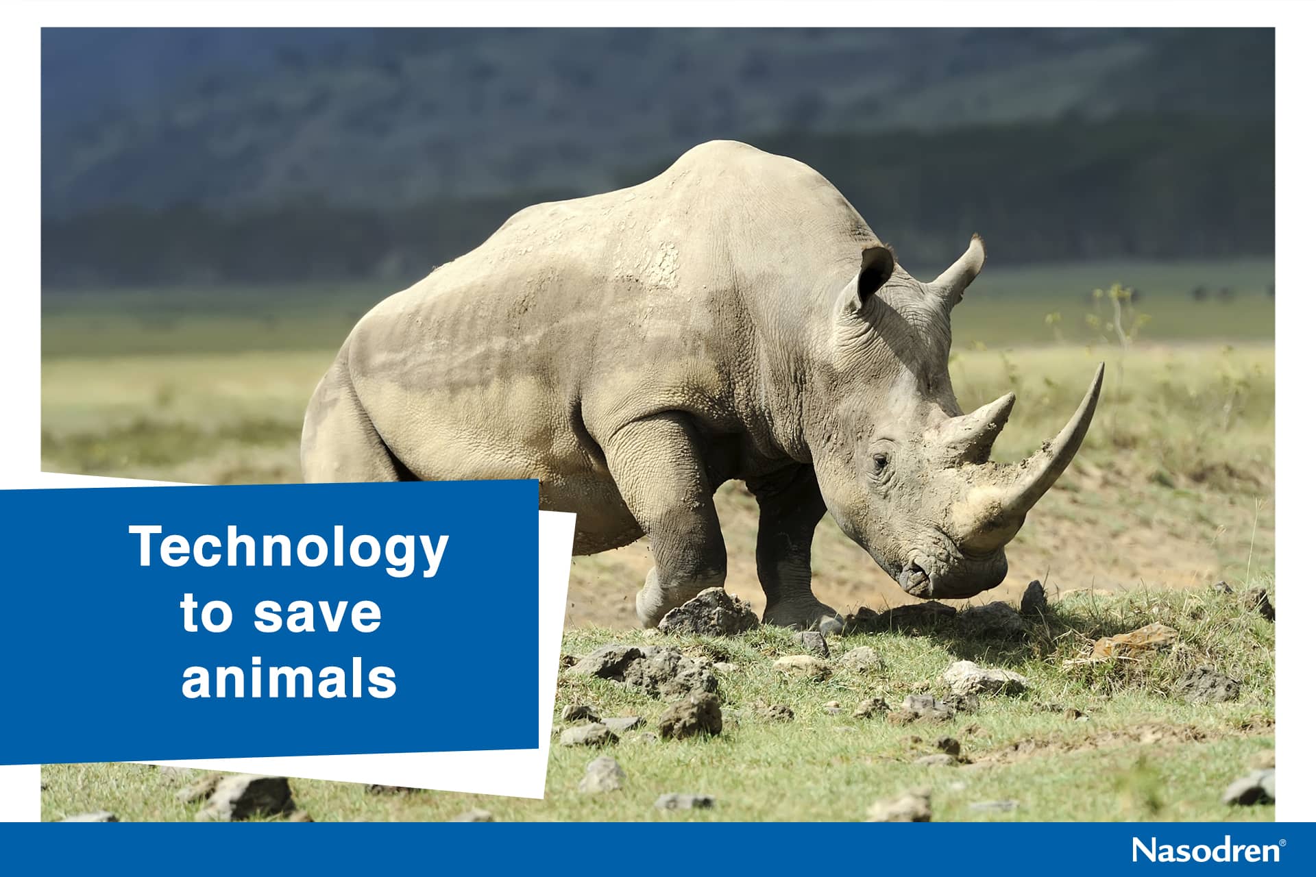 Technology to save animals